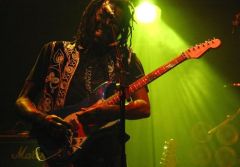 Wild T & the Spirits